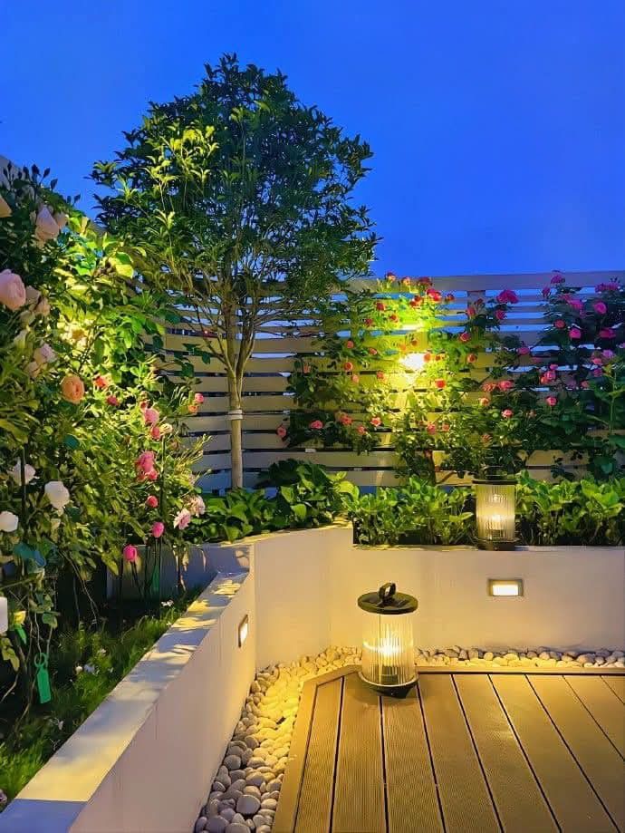 Balcony & Indoor Gardens